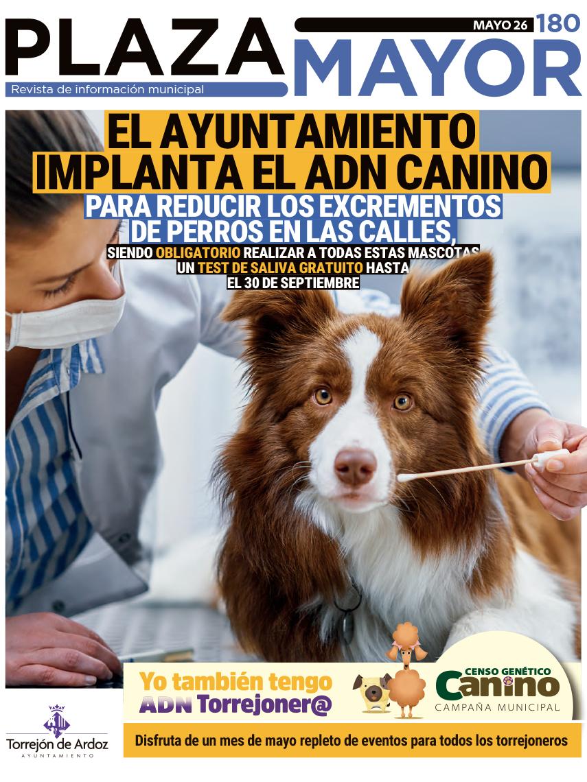 Plaza Mayor mayo 2026